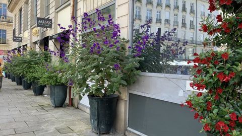 La journée technique proposée le 29 septembre par Plante & Cité sur la planification de la place du végétal en ville permettra, entre autres, de voir comment, en centre-ville de Nantes, chaque interstice peut devenir un lieu de vie. ©P.Fayolle